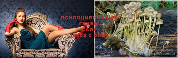 гидропоника Кропоткин