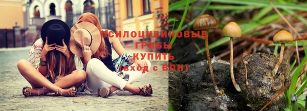 дживик Кулебаки