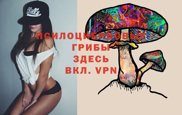 дживик Кулебаки