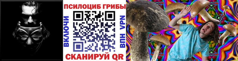 наркота  Мелеуз  Галлюциногенные грибы Magic Shrooms 